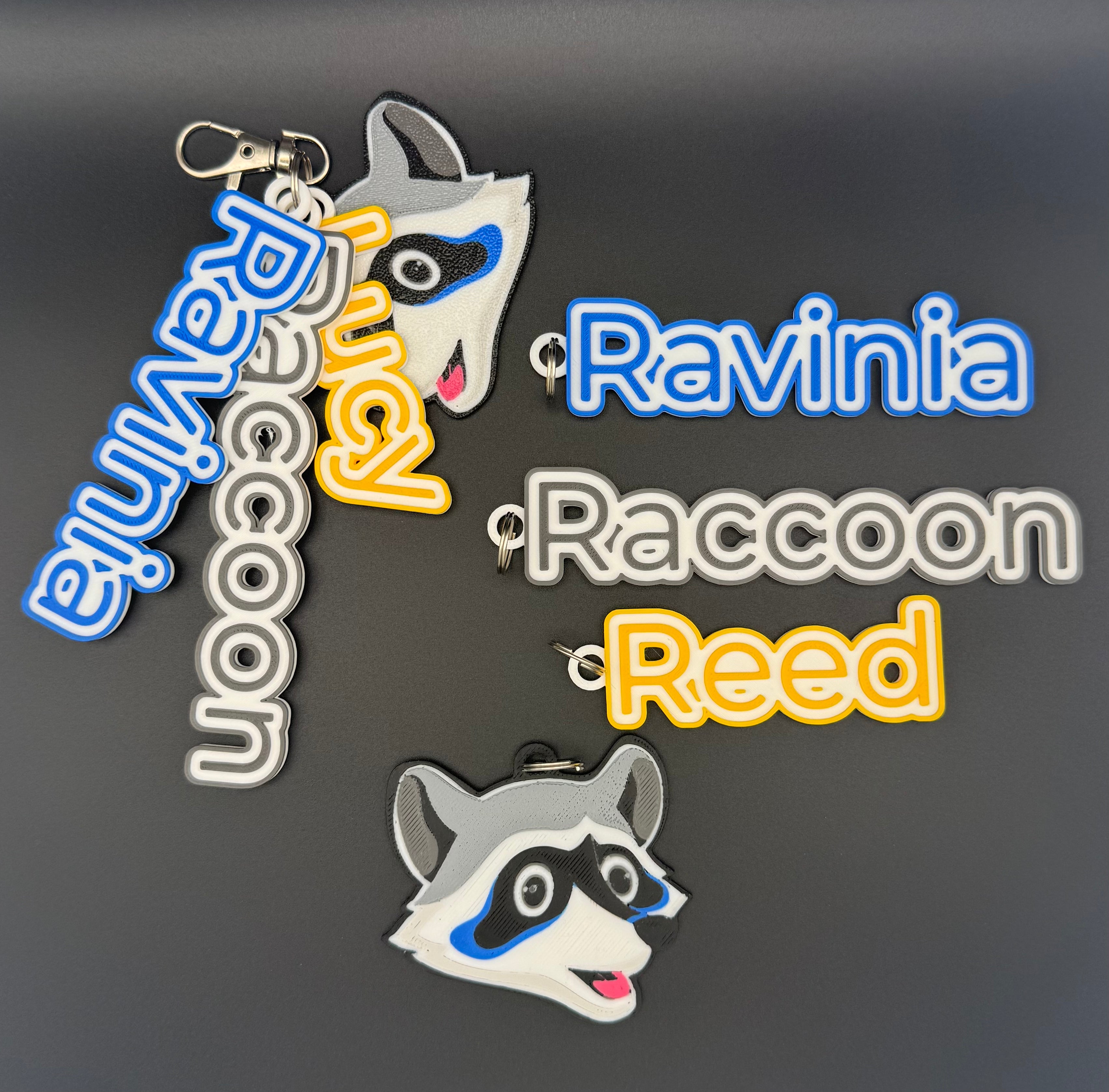 Ravinia, Raccoon, Rocky & Named Keychains