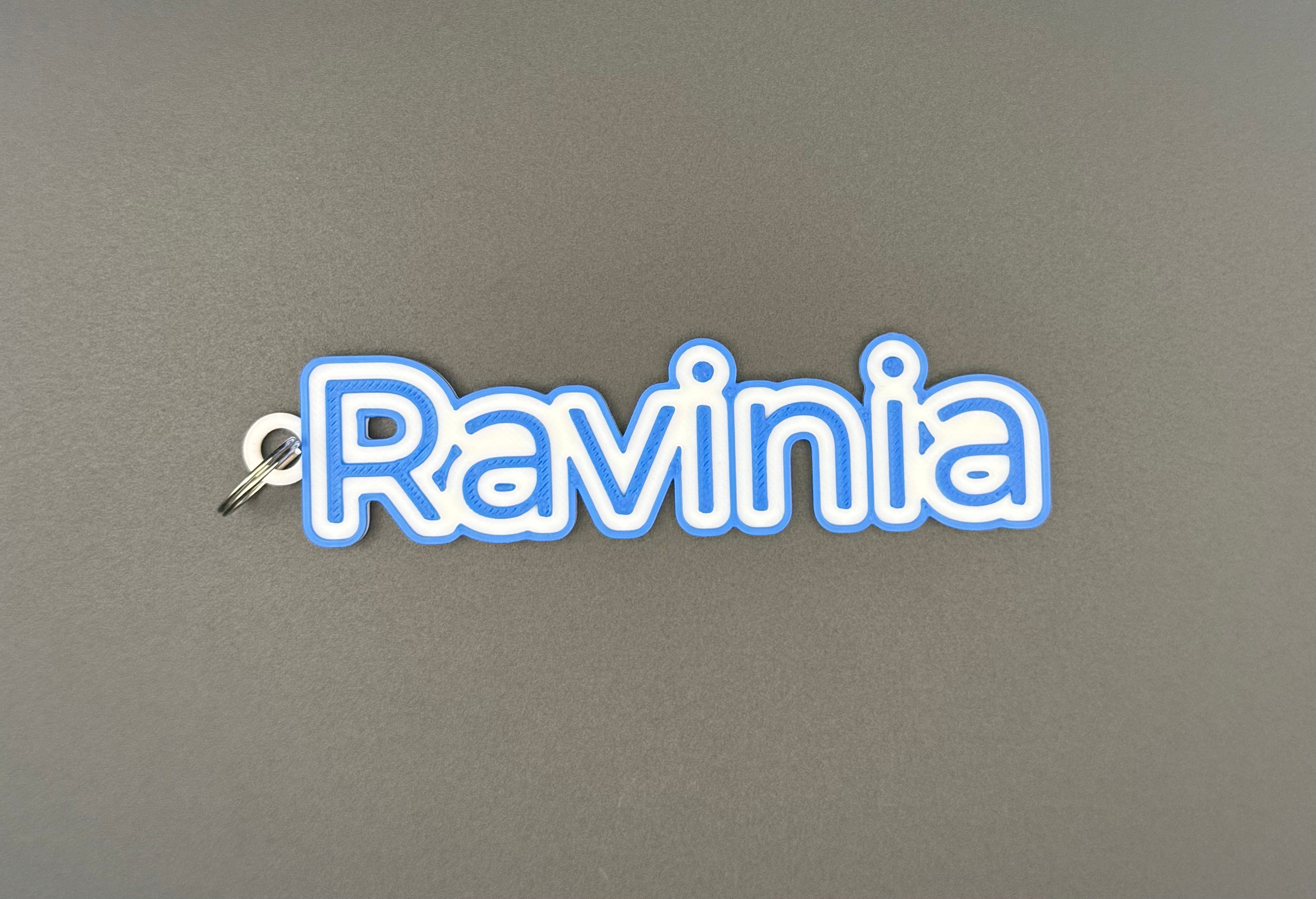 Ravinia, Raccoon, Rocky & Named Keychains