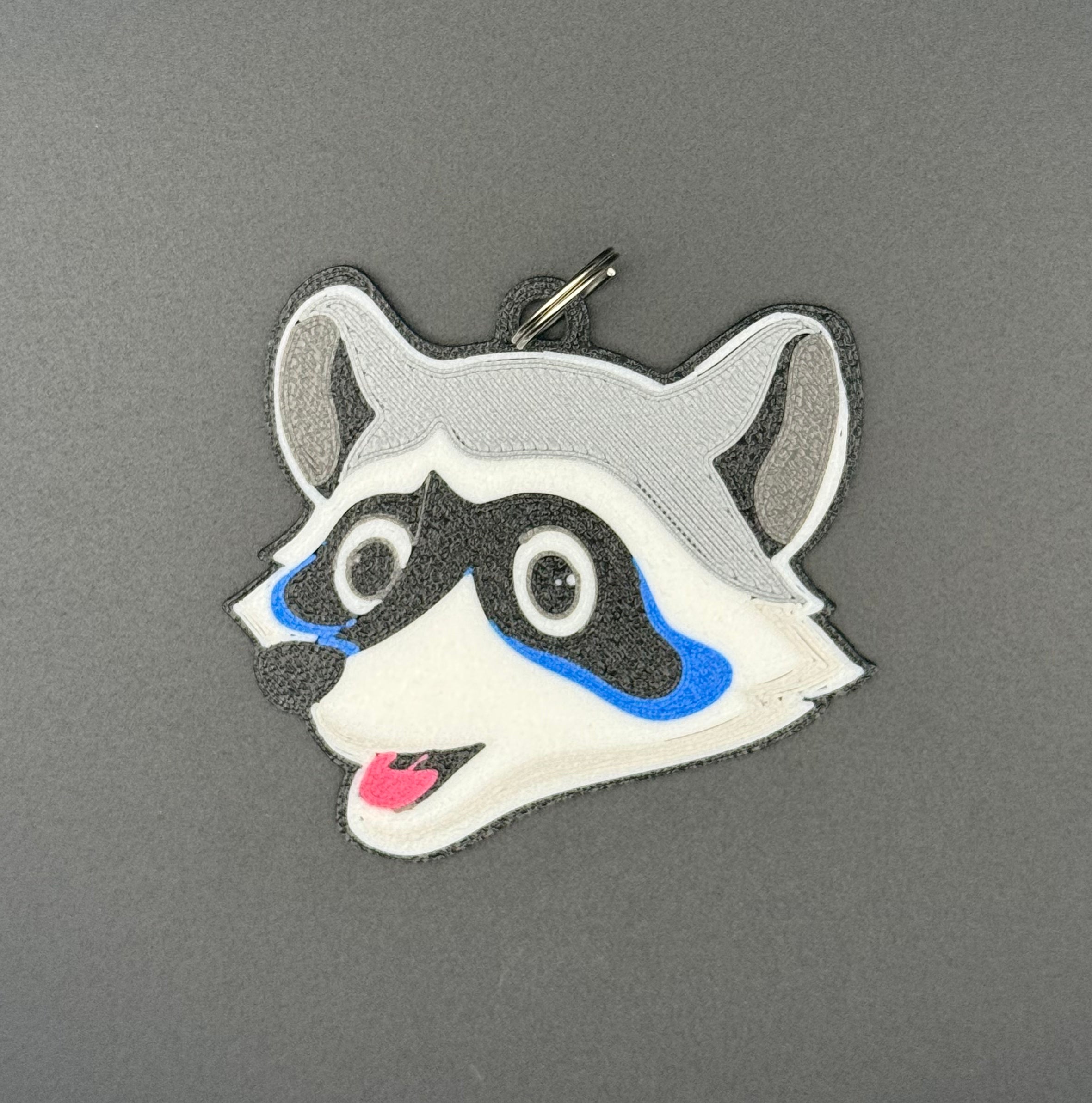 Ravinia, Raccoon, Rocky & Named Keychains